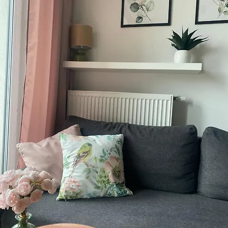 Airport Kl21 - Air Condition & Free Parking *